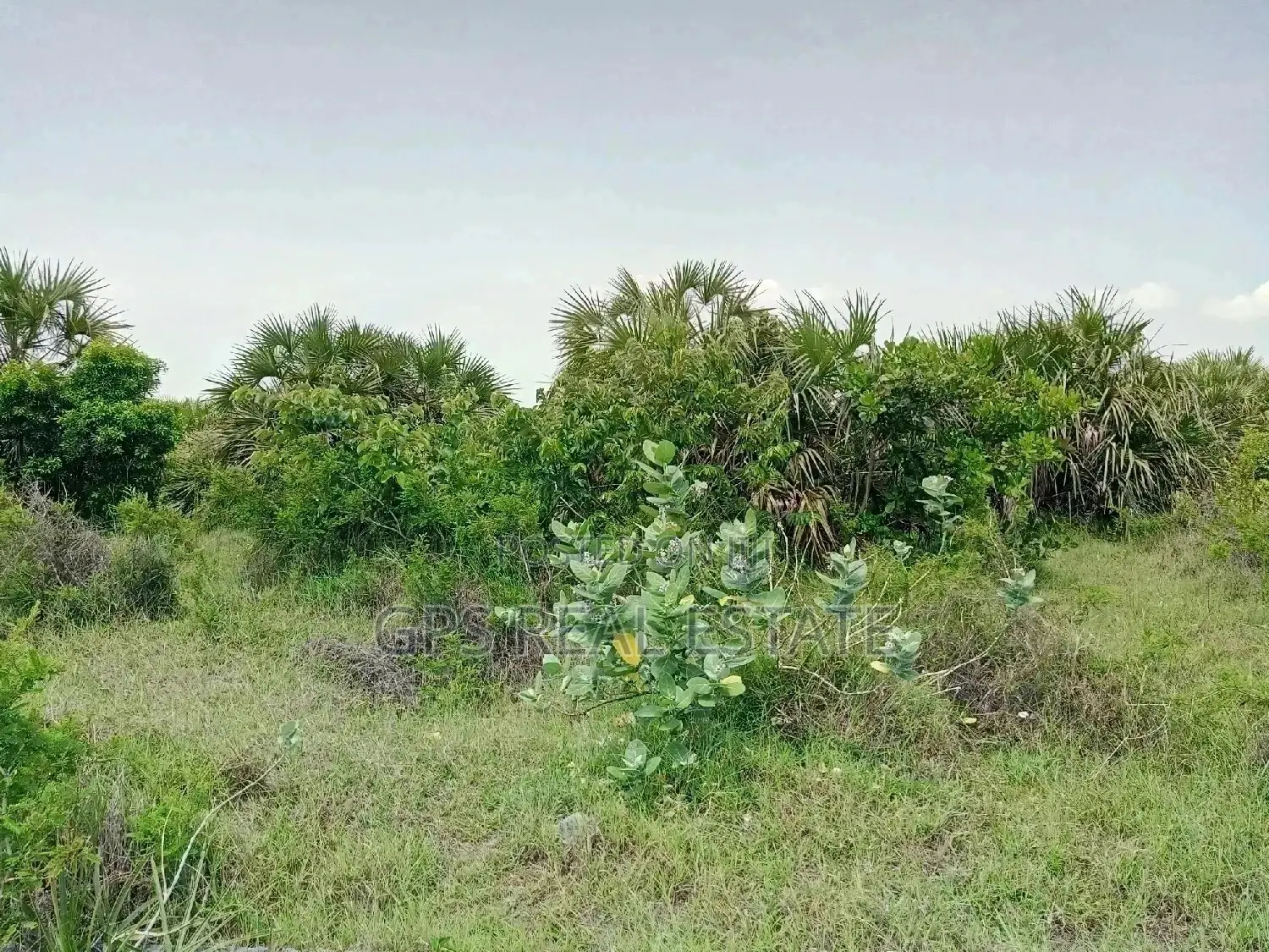 *#01 Plot for Sale