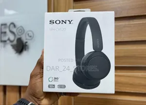 Sony Headphones(W-Ch520)