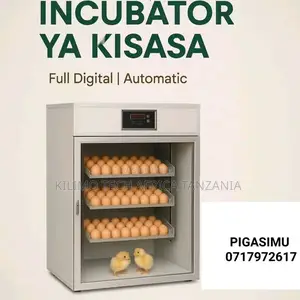 Modern Incubator