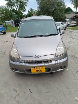 Toyota Fun Cargo 2004 Gray