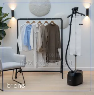 Garment Steamer