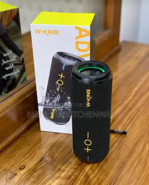 W-King Portable Speaker D320 Ip67 40w
