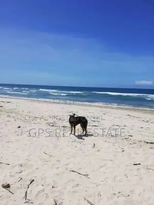 Beach Plot for Sale