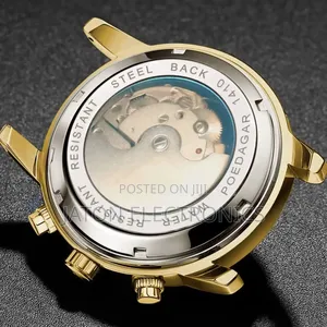P O E D G a R Automatic Watch Brand 