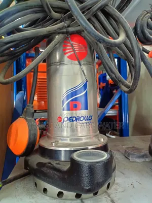Pedrollo Pump 1.5hp (Kibuyu)