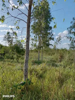 Farm for Sale, /Shamba Linauzwa