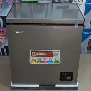 Snowseas Freezer 160l