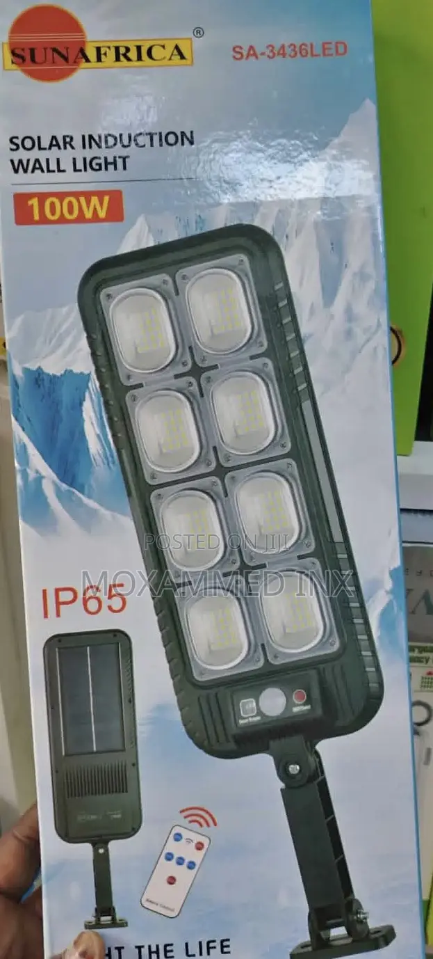 Solar Induction Wall Light