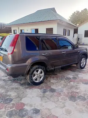 Nissan X-Trail 2003 Gray