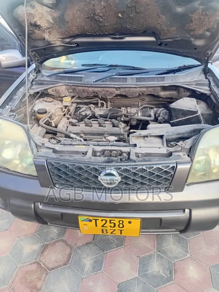 Nissan X-Trail 2003 Gray