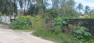 Second Line Beach Plot for Sale at Zanzibar