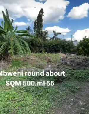 500 SQMTS Plot , Mbweni