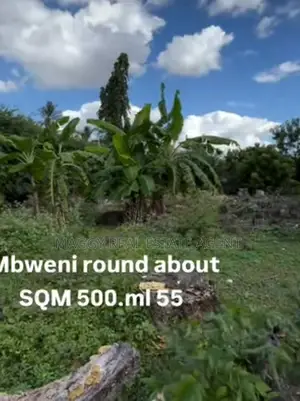 500 SQMTS Plot , Mbweni