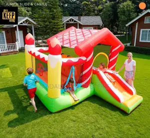 Heavy Duty Jumping Castle With Slide