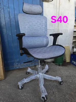 Ergonomic Chairs