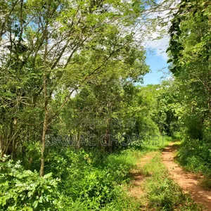 Shamba Acre 50 for Sale Mbwewe