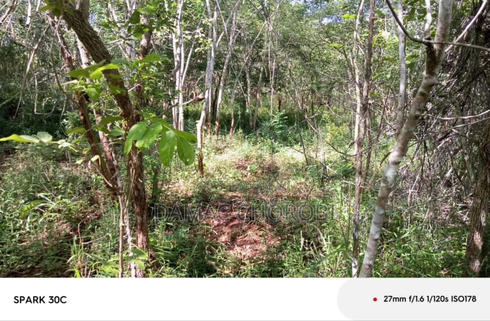 Shamba Acre 50 for Sale Mbwewe