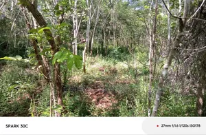 Shamba Acre 50 for Sale Mbwewe