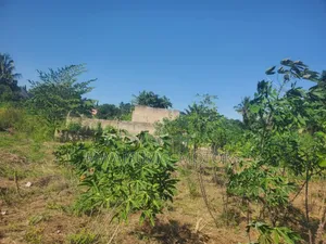 Mbezi Msumi Plot for Sale