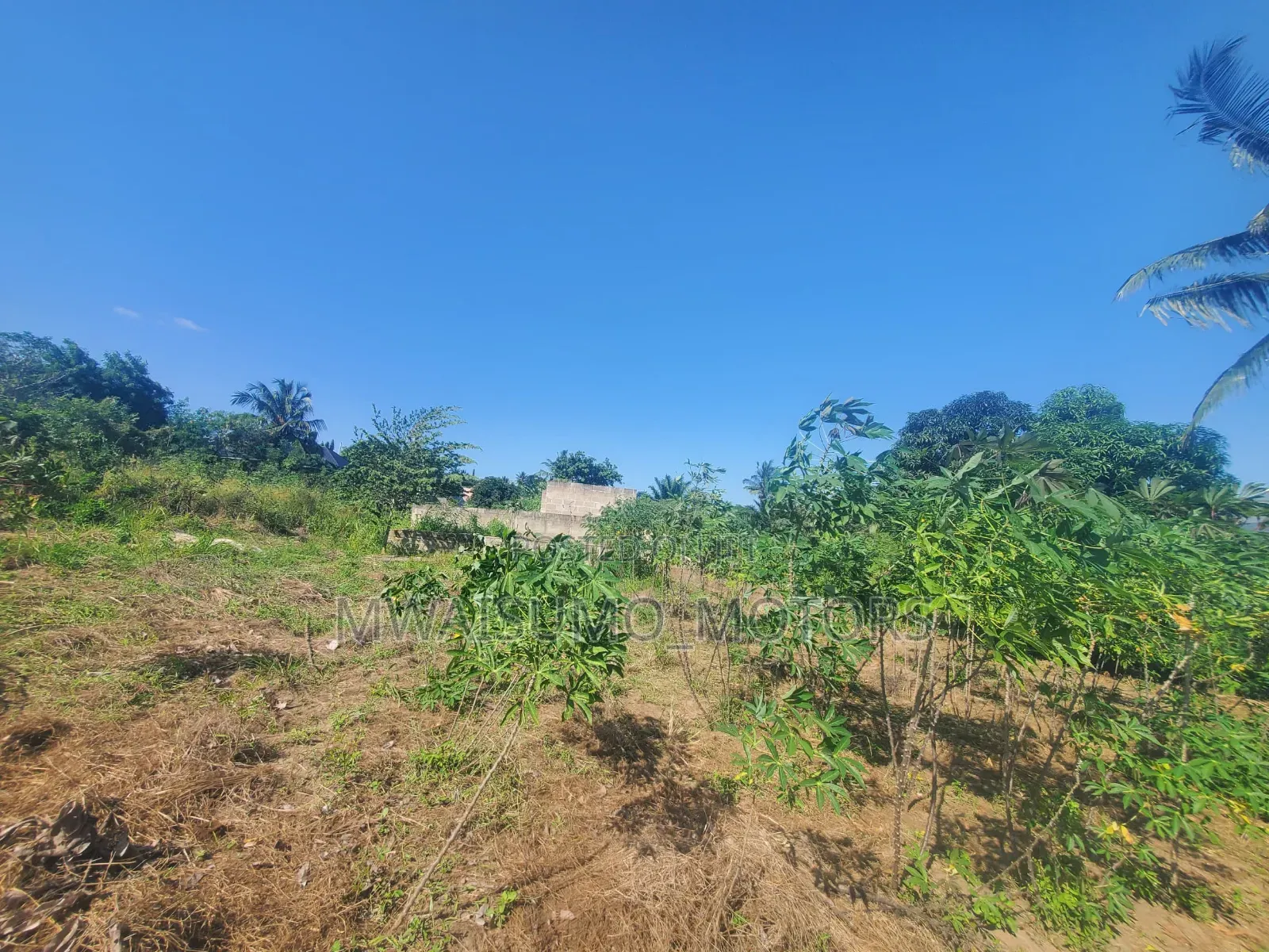 Mbezi Msumi Plot for Sale