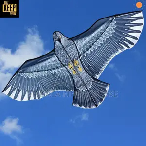 Baby Playing Kites