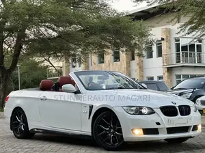 BMW 3 Series 2009 Pearl