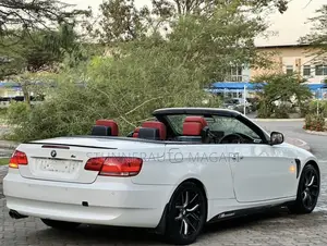 BMW 3 Series 2009 Pearl
