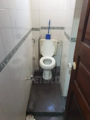3bdrm Apartment in Kariakoo for rent