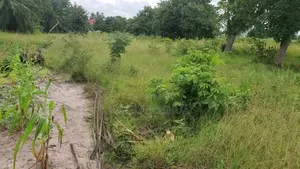 Eneo Zuri Sana SQM 12850 Linauzwa Chanika Buyuni Block 3