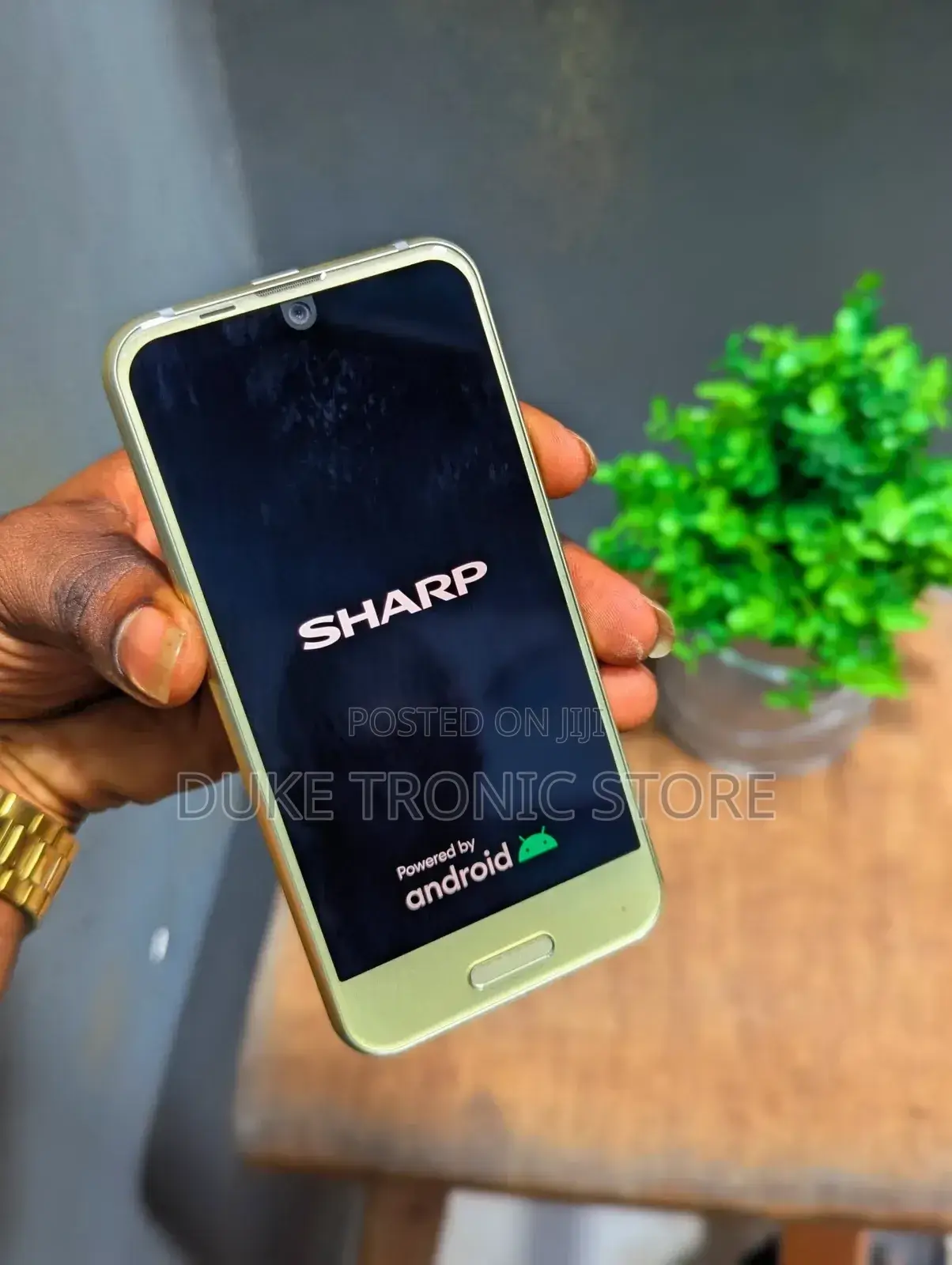 Sharp R1 32 GB Gold