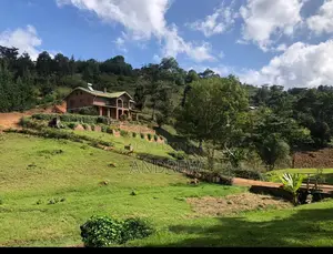 Eco Property for Sale Lushoto Usambara Tanzania Mountains