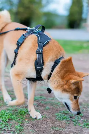 Dog Adjustable Harness (Mikanda Ya Mazoezi Kwa Mbwa)
