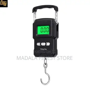 Wh-A22 Portable Electronic Scale 75kg