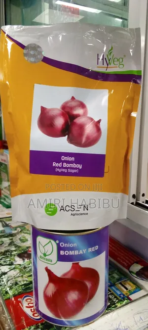 Mbegu Za Vitunguu {Onion Seeds}