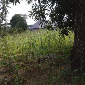 Kiwanja Kinauzwa Mlandizi