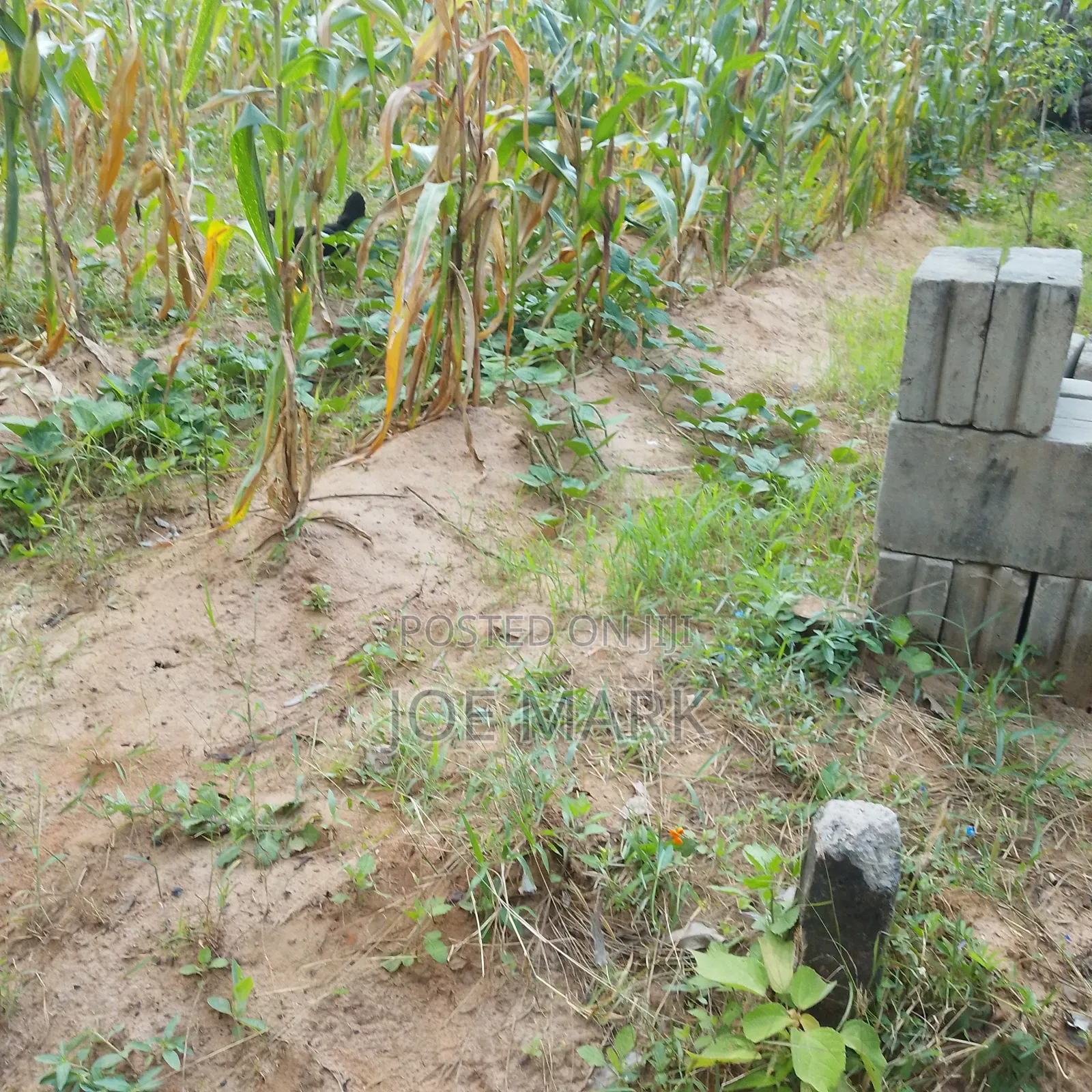 Plot for Sale at Msufini Kibaha