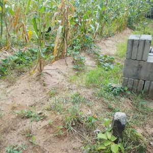 Plot for Sale at Msufini Kibaha