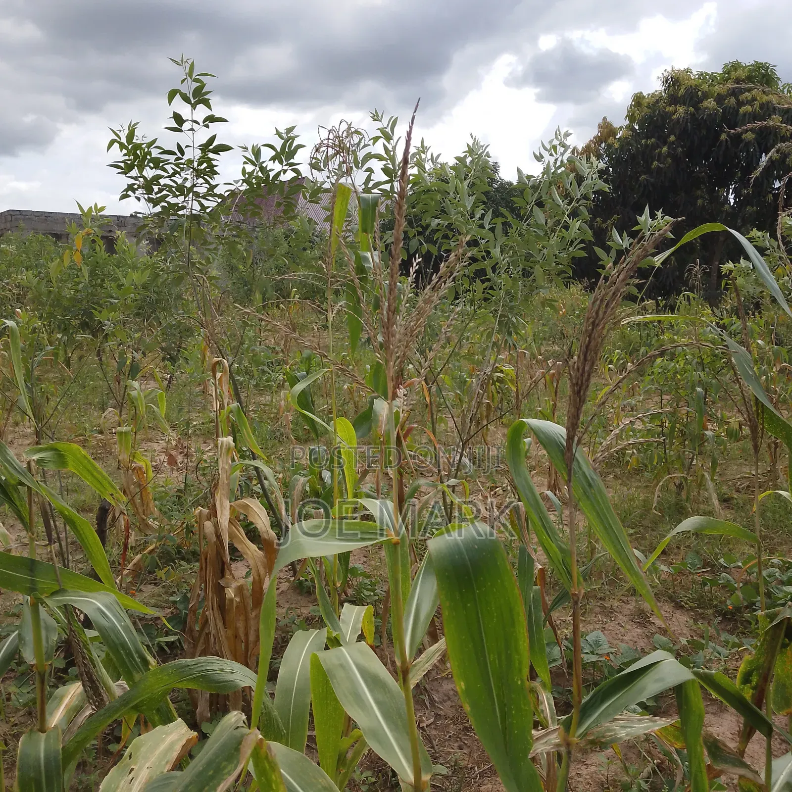 Plot for Sale at Msufini Kibaha