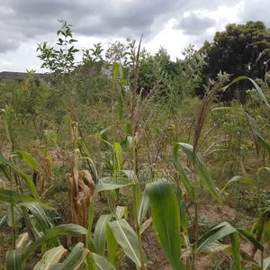 Plot for Sale at Msufini Kibaha