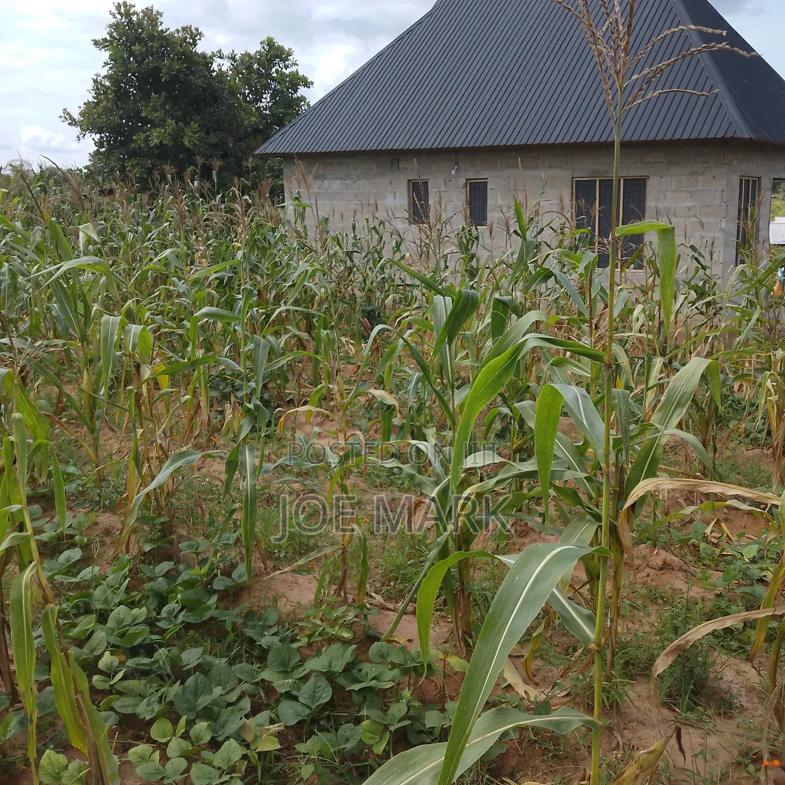 Plot for Sale at Msufini Kibaha