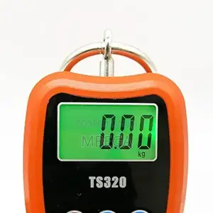 Mini Crane Scale
