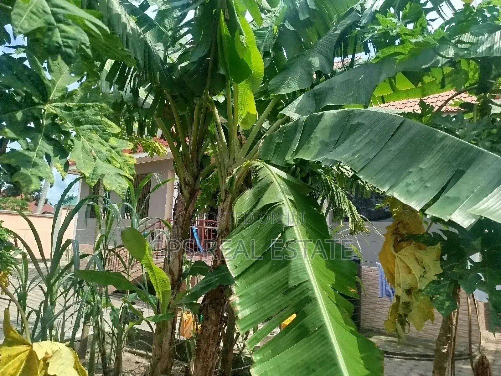 3bdrm House in Mbezi Magufuli, Kinondoni for sale