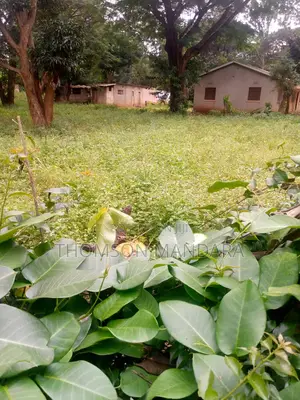 One Acre Plot at Shanty Town
