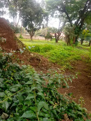 One Acre Plot at Shanty Town