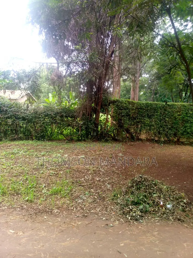 One Acre Plot at Shanty Town