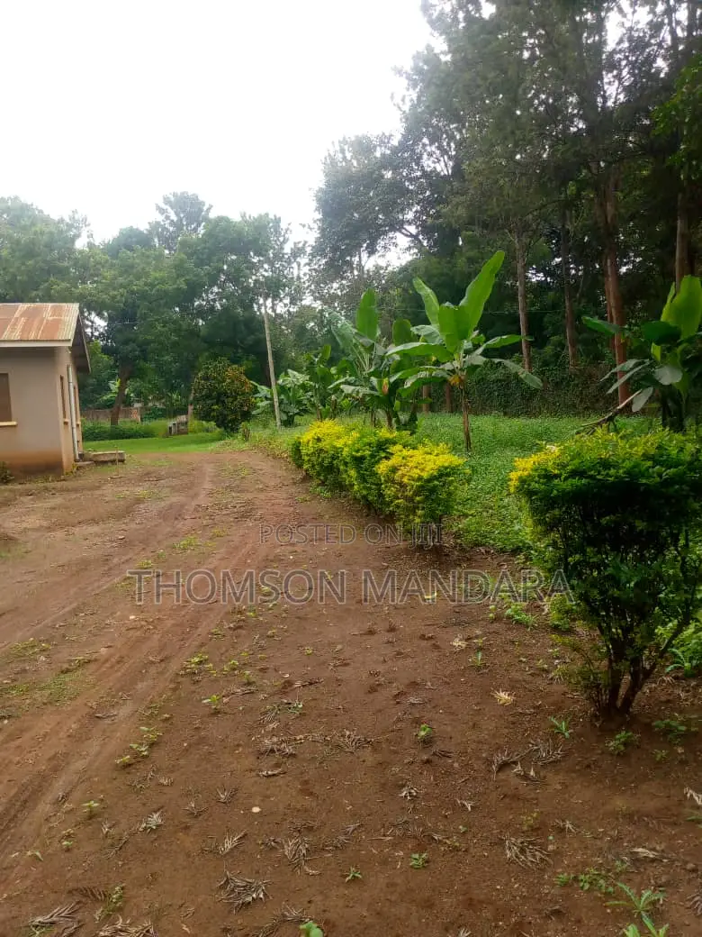 One Acre Plot at Shanty Town