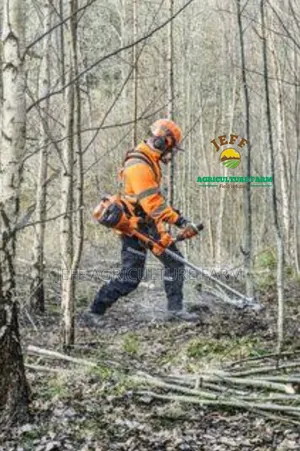Brush Mashine Fm Power