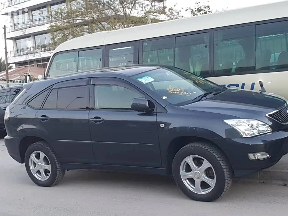 Toyota Harrier 2009 Gray