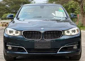 BMW 3 Series 2013 Blue