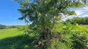 Plot for Sale at Bagamoyo Kilomo